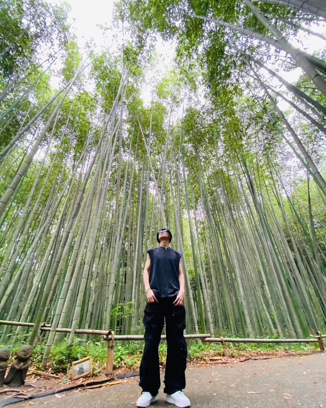 滝澤諒のインスタグラム：「15cmほどのタケノコも２ヶ月くらいでこれくらい成長するんだって  知ってた？  京都、おいでよ。  #京都 #vlog #資産家 #滝澤諒」