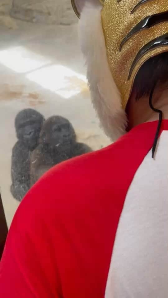 タイガーマスクのインスタグラム