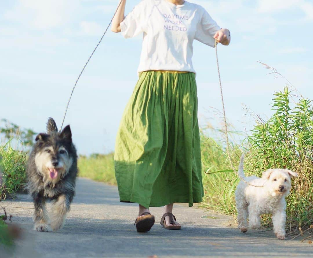 甲斐麻美のインスタグラム