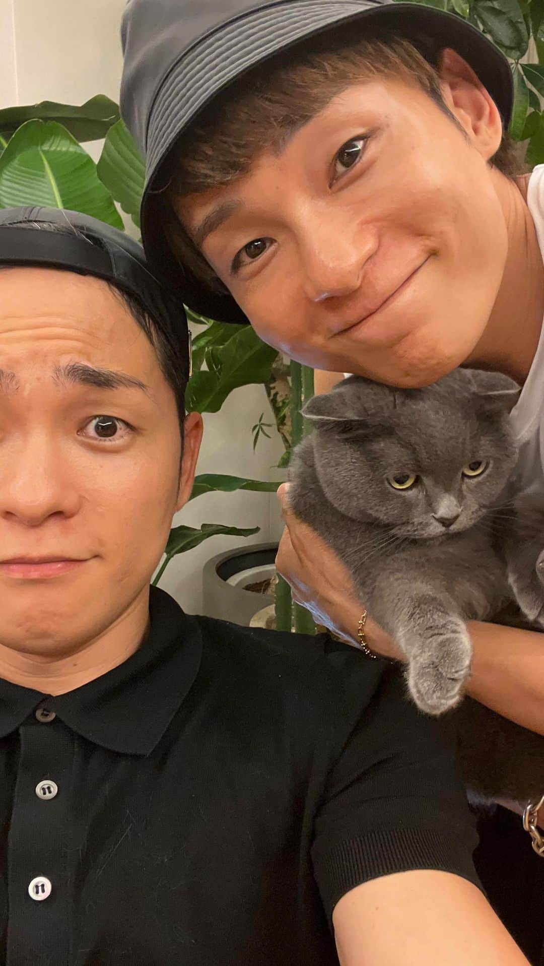 広海・深海のインスタグラム：「@toletta.cat  Amazonプライムデー　セール中ですよ！！！  みんなの猫が長生きしますように❤️  #猫トイレ #トレッタ #トレッタありがとう #PR」