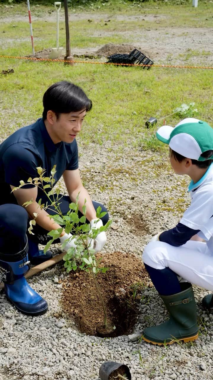 斎藤佑樹のインスタグラム：「⁡ 木製バットの素材として世界に愛されている 日本で育ったアオダモの木。 ⁡ いつまでもバットを作れる木を残していけるように そんな願いが込められた「バットの森づくり植樹祭」 僕も参加させていただきました。 ⁡ この日、野球に一生懸命な子どもたちと一緒に 思いを込めて植えた苗木。 バットになるまでには70年もの歳月がかかります。 ⁡ 70年後、この苗木達がまっすぐに伸びた成木になり バットとして使われる時にも たくさんの人が野球を楽しんで 笑顔でいてくれるように。 ⁡ 野球未来づくり、進めていきます！ ⁡ ⁡ #北海道 #苫小牧 #バットの森づくり #アオダモ資源育成の会 #野球未来づくり」