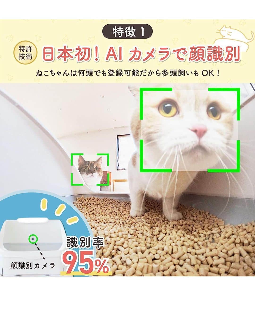 マンチカンのココ王子さんのインスタグラム写真 - (マンチカンのココ王子Instagram)「@toletta.cat  Amazonプライムデーで 年内最安値の"50%OFF!!" 3490円！！  持ってない方、購入しておいた方が良いですよ！！  部品の定価で計算すると本体2万円以上するはずのトレッタ💦 それが定価6980円！！ 元々お買い得なのに Amazonプライムデーでさらに激安！！  私も3回目の購入をしちゃいました✨✨  ストーリーズにリンク貼るので 気になる方は見てね💕  _____＊______＊______  ⭐️尿量、尿の回数、トイレの滞在時間など自動測定して記録してくれる！  ⭐️最新AIトイレなので、顔認識してくれて、多頭飼育でもそれぞれの子のデータを記録  ⭐️おトイレ中の様子を撮影して記録してくれる  優秀な猫トイレです！  #pr」7月11日 22時55分 - cocolog_cat