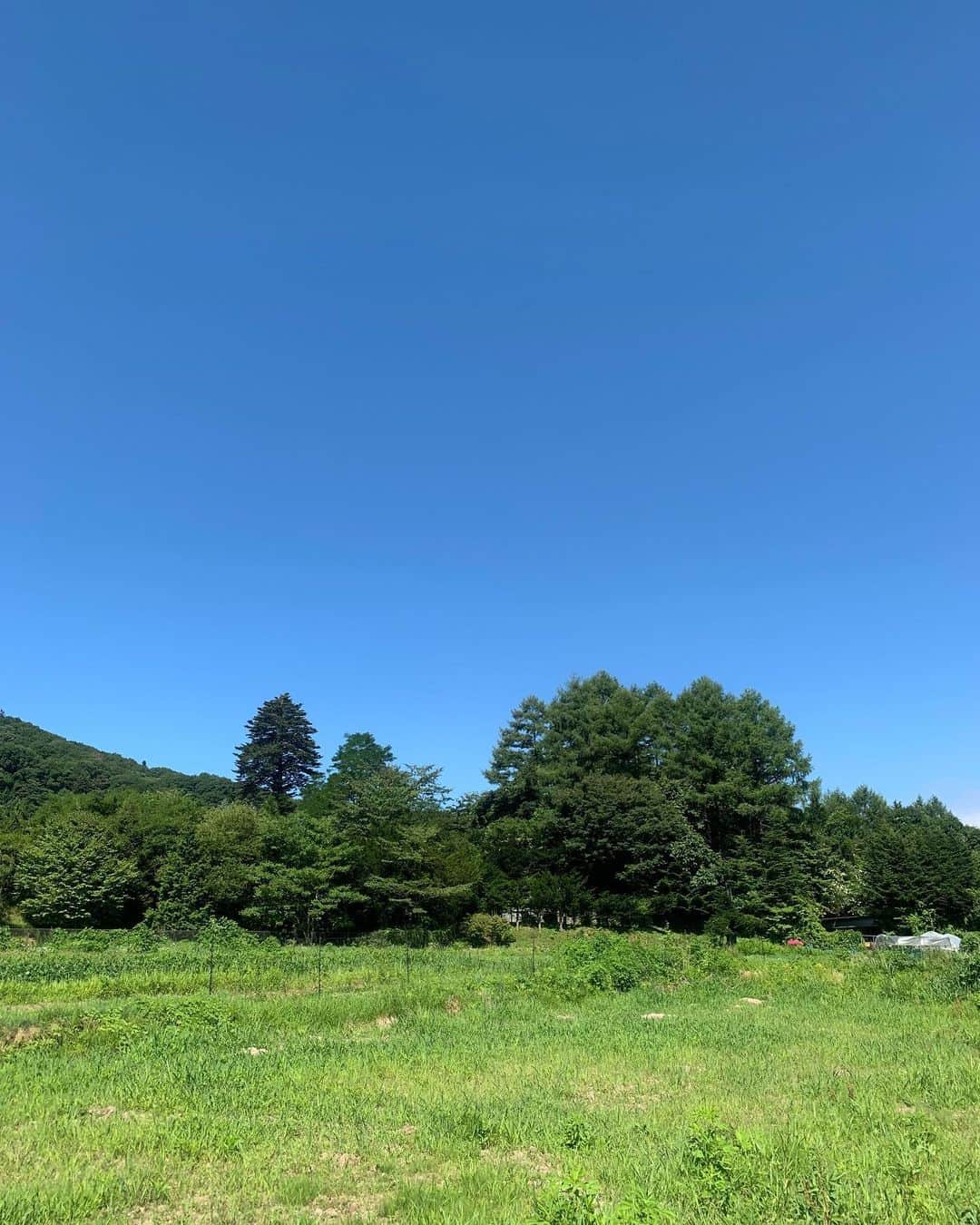 高野桃子さんのインスタグラム写真 - (高野桃子Instagram)「本格的に夏はじまったねぇ🌈🌞🌻まだ梅雨明け宣言出てないみたい…  #夏の風景」7月11日 22時49分 - takano_sd