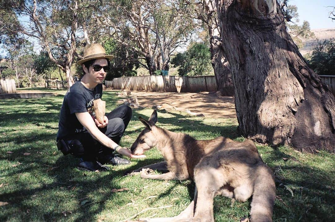 ヤー・ヤー・ヤーズさんのインスタグラム写真 - (ヤー・ヤー・ヤーズInstagram)「We are so psyched to get back to you Australia! The countdown is ON. Also where is best to meet a wombat?  Some mems from 2002-2009 via @little_vampire  🐨❤️🇦🇺❤️🐨」7月12日 8時24分 - yeahyeahyeahs