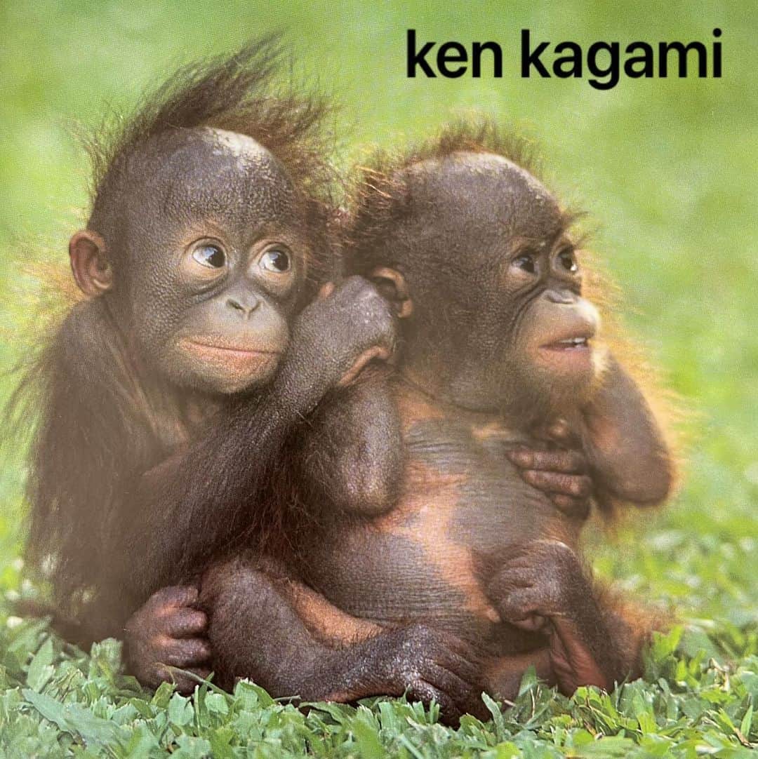 KEN KAGAMIさんのインスタグラム写真 - (KEN KAGAMIInstagram)7月12日 8時18分 - kenkagami