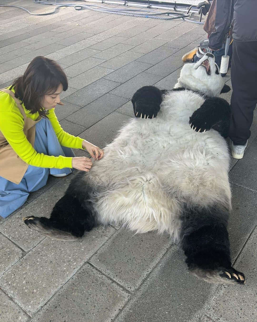 石田ゆり子さんのインスタグラム写真 - (石田ゆり子Instagram)「数ヶ月前の 「BIG」の撮影時のひととき。 パンダくんとの撮影は、 ただただ彼の動きが可愛くて、 何をしててもパンダくんが気になって仕方ありませんでした。 BIGの撮影はいつも、 素晴らしいゲストと一緒なので 毎回かなり楽しいです。 ゲストの皆さん、来てくださりありがとうございます😭😊。 #スポーツくじbig」7月12日 8時49分 - yuriyuri1003