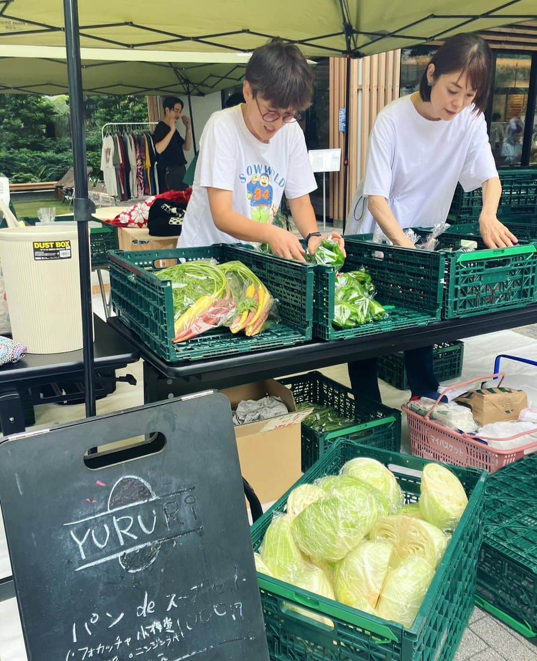 川瀬良子さんのインスタグラム写真 - (川瀬良子Instagram)「こんにちは〜😊  7月8日(土)東京渋谷・北谷公園で開催された ジンナンマーケットに、栃木県益子町のお野菜を並べた青果店を出店しました！  栃木県益子町にお世話になっている農家さんや地域のみなさんがいるので、益子町のおいしい野菜を、渋谷のみなさんに知ってもらおう！と、 出店が決定🎉  渋谷という事は、一人暮らしの若い人がきっと多いから、キャベツやカボチャは丸ごと1つではなく、カットした方が手にとってくれるのでは…？ 野菜詰め合わせのセット売りよりも、好きなものを選べる方がイベント性があるのでは？などなど、 みんなで売り方を考える時間も楽しかった〜♪  当日は、早朝から益子チームが新鮮なお野菜を車で運んで下さり（本当にありがとうございました👏🏻）私たちは車からブースまで運び（野菜も数があると重たいんですよね〜！）野菜がより一層美味しそうに見えるように彩りを考え陳列。そして、お客さんに売る。 一通り全てを体験したのですが、お客さんに野菜をアピールするためには野菜の特徴や、どんな農家さんが作っているのかなど、事前に頭に入れておくことがいかに大切かを痛感しました！  あるお客さまに「この2種類のカボチャの違いはなぁに？」と聞いて頂いたのですが、すぐに違いを答えられず反省、猛省。 益子チームに確認したら、ホクホクしているのがお好きでしたらこちらですよ〜！と丁寧に説明して下さり、感動しました！  野菜を作る農家さんがいて、さらに運ぶ人、陳列してくれる人、売る人がいて、私たちは買う事ができる。ということも改めて実感できたとても学びの多い一日になりました！  次の日に「昨日買ったナス。おいしかったよ〜！」とお客さんに声をかけていただいたのですが、それがうれしくてうれしくて🤩🥳🤩🥳  ナス農家さんに、しっかり伝えました！  このような野菜を通じた交流も、素敵ですよね〜！  またどこかで出店などありましたらお知らせしますね♪  その時は、完璧な接客ができるように頑張るぞぉ〜！  チーム益子のみなさま👏🏻事前の打ち合わせや準備、そして当日は暑い中☀️本当にお疲れ様でした！！ありがとうございました！！  そしてそして、お客様、SNSを見て来てくれたみなさまや友人知人、本当にありがとうございました！！  🥒写真5枚目🥒 キュウリ2本を1セットにして袋売りしていたのですが、とても暑い日だったので主催の方が「冷やしキュウリにして売りましょう！」と提案してくださり、どこからともなく入れ物や氷を持って来てくださり“冷やしキュウリはじめました”のポップも作ってくださって、キュウリはあっという間に完敗しました👏🏻 その日の天候に合わせた売り方も学べましたね〜！ そして、渋谷の公園でいろんな方がポリポリとキュウリを食べている姿がとてもユニークで🤣😍 感動しました〜！  🫑🥕🍅🍆  #栃木県 #益子町 #ましこ #道の駅ましこ @michinoeki_mashiko  #渋谷 #北谷公園 @shibuya_kitaya_park  #ジンナンマーケット #jinnanmarket  #青果店 #野菜 #農業 #農家 さん  @yuko_mindleader  @irokawa1008  ありがとうございました😍  @wmg._official @sakayori_official  エプロン大活躍でした〜😍」7月12日 9時03分 - kawase_ryoko