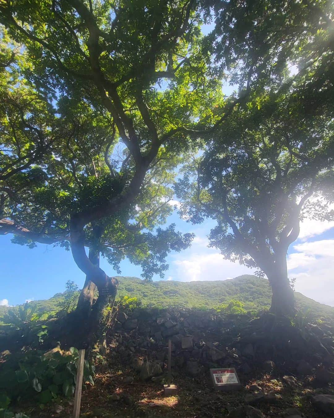 早川真生さんのインスタグラム写真 - (早川真生Instagram)「沖縄で1番好きな場所 #今帰仁城跡 🏰✨ ⁡ ⁡⁡ ⁡ほんとにほんとに沖縄でこの場所がいっっっちばん好き♡⁡ ⁡⁡⁡ ⁡⁡ ⁡⁡⁡#今帰仁城 #世界遺産⁡ ⁡⁡ ⁡⁡⁡ ⁡ ⁡⁡⁡ ⁡⁡ ⁡⁡ ⁡⁡ ⁡⁡ ⁡⁡ ⁡ #沖縄  #okinawa #沖縄旅行 #今帰仁村 #日本100名城 #城 #今帰仁 #城巡り #沖縄観光 #グスク #今帰仁城址 #nakijincastle #城跡 #japan #100名城 #travel #nakijin #okinawatrip #世界遺産巡り」7月12日 7時00分 - hayakawa_mai