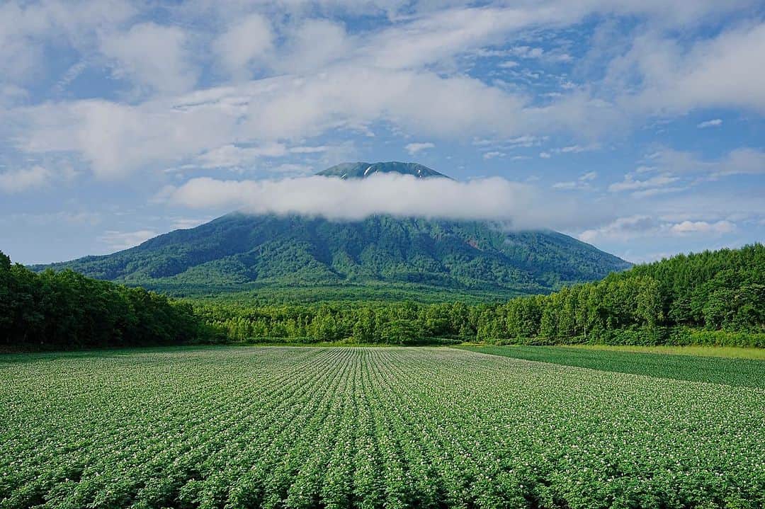 Michael Yamashitaさんのインスタグラム写真 - (Michael YamashitaInstagram)「Yotei Mountain 360: Circling Hokkaido’s Mount Fuji look alike, here are 6 views in one hour circumnavigation of a mountain famous for hiding itself in the clouds. #yotei #ezofuji #hokkaido #yoteimountain」7月12日 9時55分 - yamashitaphoto