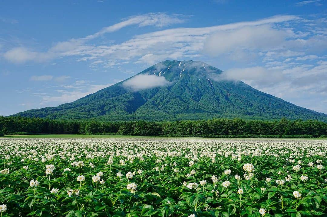 Michael Yamashitaさんのインスタグラム写真 - (Michael YamashitaInstagram)「Yotei Mountain 360: Circling Hokkaido’s Mount Fuji look alike, here are 6 views in one hour circumnavigation of a mountain famous for hiding itself in the clouds. #yotei #ezofuji #hokkaido #yoteimountain」7月12日 9時55分 - yamashitaphoto