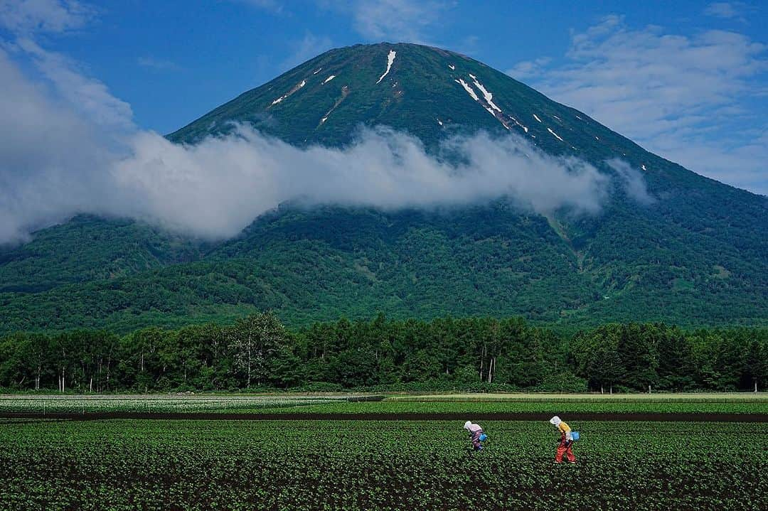 Michael Yamashitaさんのインスタグラム写真 - (Michael YamashitaInstagram)「Yotei Mountain 360: Circling Hokkaido’s Mount Fuji look alike, here are 6 views in one hour circumnavigation of a mountain famous for hiding itself in the clouds. #yotei #ezofuji #hokkaido #yoteimountain」7月12日 9時55分 - yamashitaphoto