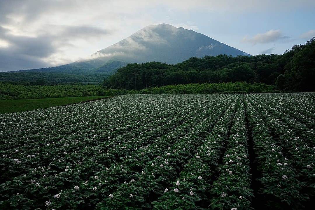 Michael Yamashitaのインスタグラム：「Yotei Mountain 360: Circling Hokkaido’s Mount Fuji look alike, here are 6 views in one hour circumnavigation of a mountain famous for hiding itself in the clouds. #yotei #ezofuji #hokkaido #yoteimountain」