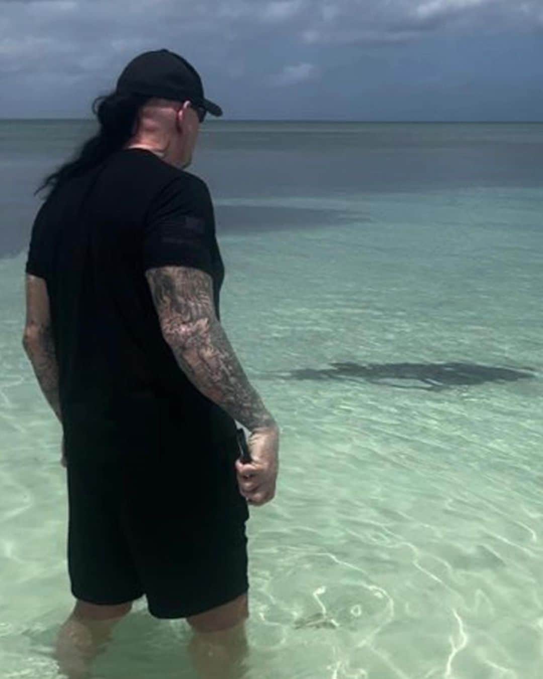 WWEさんのインスタグラム写真 - (WWEInstagram)「This shark wanted no part of @undertaker! 🦈  🎥 @mimicalacool」7月12日 5時10分 - wwe