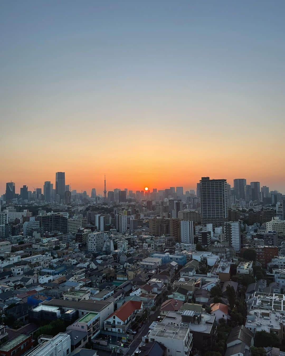 澤田かおりのインスタグラム：「Good morning, Tokyo. 🗼」