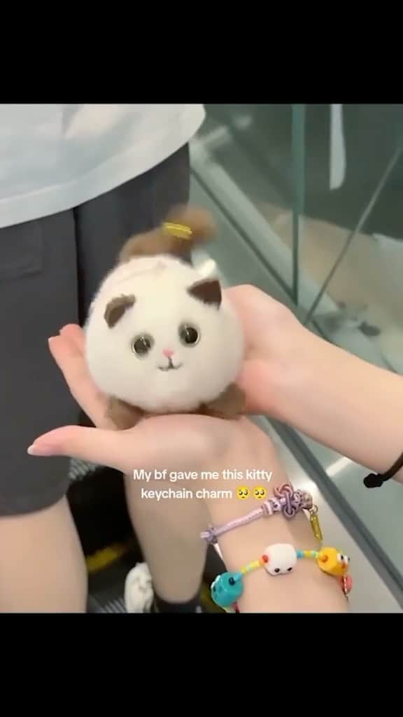 Cute Pets Dogs Catsのインスタグラム：「Order yours from our store. 😍 Link in Bio, Only today 33% off 🎉  Link in our Bio @kittens_of_world   You can find all additional information on our 9Lives store.」