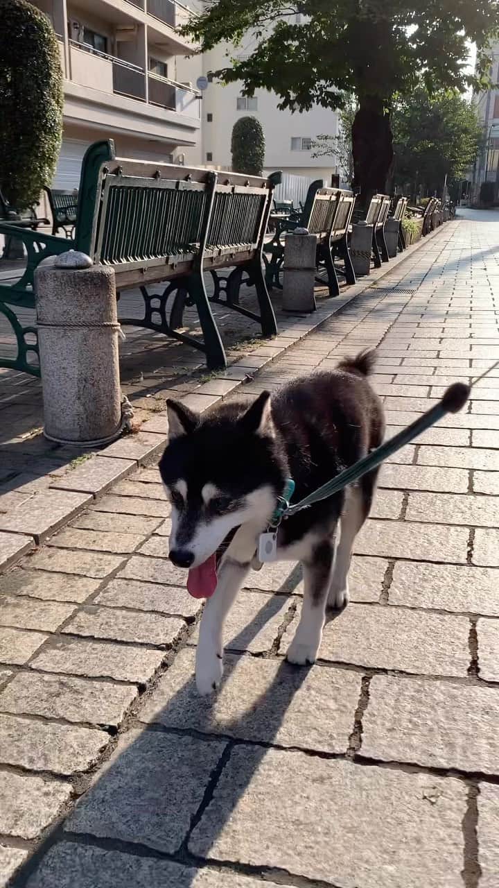 くろのグルメインスタ