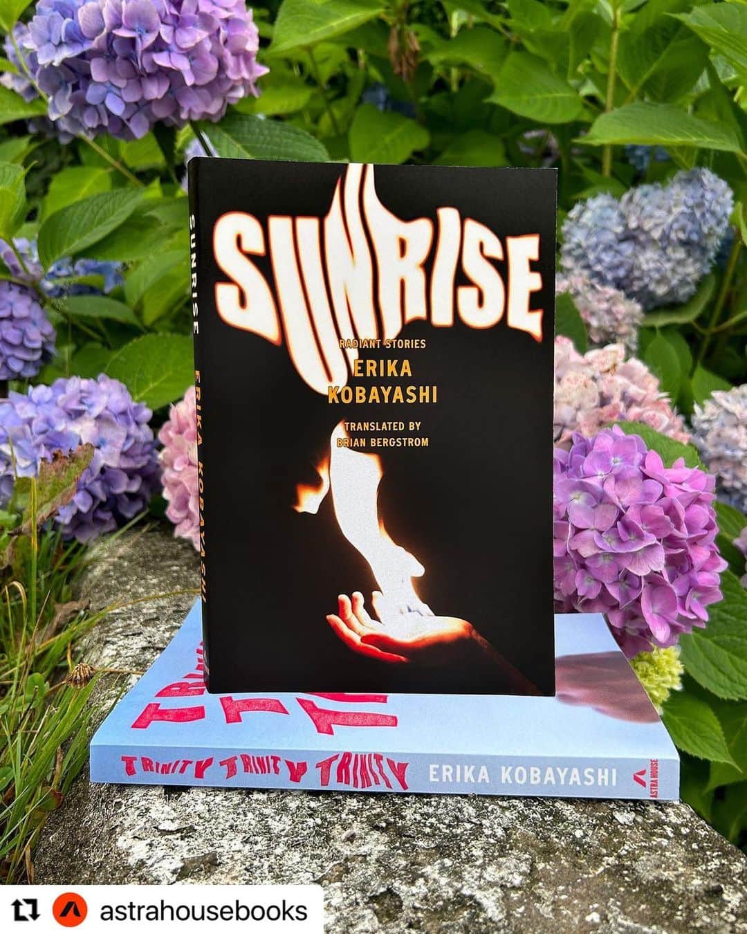小林エリカのインスタグラム：「Happy Pub Day!!!  “Sunrise -Radiant Stories-“ Erika Kobayashi translated by Brian Bergstrom @asa_no_burei published by @astrahousebooks   A collection of contemplative, lyrical stories examining the visible and invisible consequences of atomic power on Japanese society  本日発売日❤️‍🔥 “Sunrise -Radiant Stories-“ 訳Brian Bergstrom @astrahousebooks   アメリカ🇺🇸カナダ🇨🇦で短編集が発売になります！ 「彼女は鏡の中を覗きこむ」（集英社）を中心に、美術館でのインスタレーションテキストや日本ではまだ単行本に未収録の新作も。  You can read “THE FOREST OF WILD BIRDS” at @literaryhub Now📕 ERIKA KOBAYASHI (TRANS. BRIAN BERGSTROM) excerpt from “Sunrise: Radiant Stories” Published by Astra House. @astrahousebooks   「SUNRISE 」「野鳥の森1F」の英訳がLit Hubで読めます！  #Repost @astrahousebooks with @use.repost ・・・ 🔥 Out now, Erika Kobayashi’s SUNRISE: RADIANT STORIES translated by Brian Bergstrom🔥   History haunts us in this collection, continuing Erika’s examination of the visible and invisible consequences of atomic power on our past, present, and future.   To celebrate the release of this collection, we are giving one lucky reader a copy of both “Sunrise” and “Trinity, Trinity, Trinity”, out earlier this year. @flowertv @asa_no_burei   To enter:  1) Follow us @astrahousebooks  2) Tag a friend who loves translations   Winners will be chosen July 19, 2023! Link in bio for more info and official rules.   *Open to U.S. residents only*」
