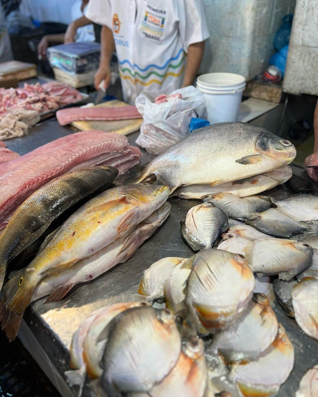 本間愛花さんのインスタグラム写真 - (本間愛花Instagram)「🇧🇷 今日は朝食を食べてから、 マナウスの魚市場に行ってきました🐟 アマゾンの色々なお魚が沢山〜！で 興奮した👏🏻✨  #ブラジル #マナウス #アマゾン #魚市場」7月12日 8時13分 - aikahonma