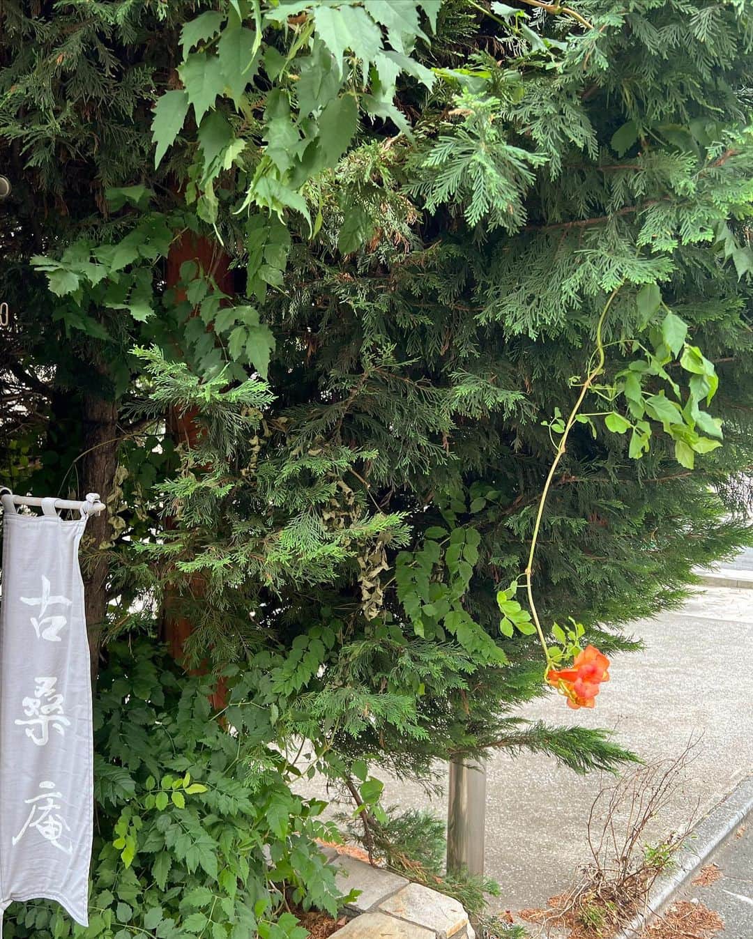 ハ・ヨンスさんのインスタグラム写真 - (ハ・ヨンスInstagram)「It’s a mess but so am I, we are all a hot mess 🐰🤙🏻」7月12日 17時53分 - hayeonsoo_