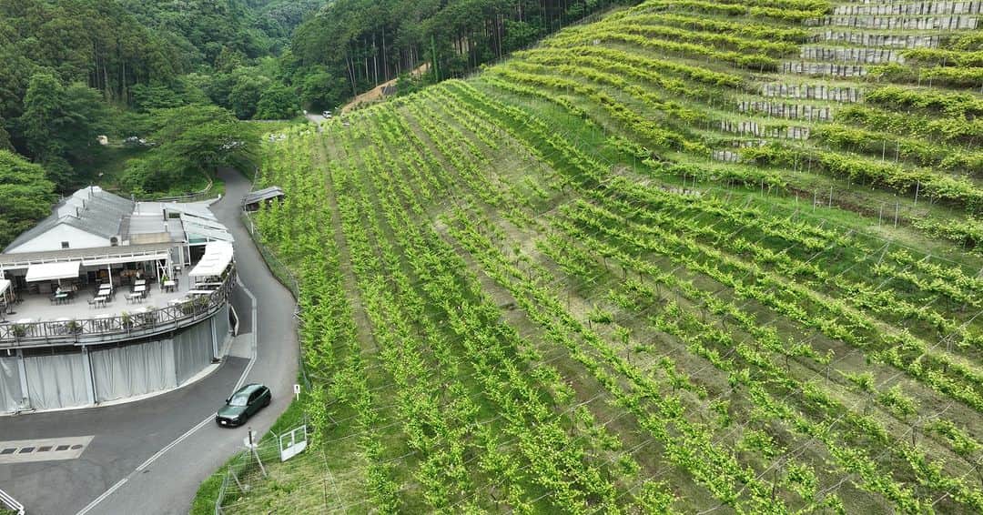 Audi Japan Sales / アウディジャパン販売さんのインスタグラム写真 - (Audi Japan Sales / アウディジャパン販売Instagram)「【Audi SQ5で山々や高原を走りめぐる。食と体験で成熟した大人を満たす上質なドライブ】  今回のドライブでは、休日の贅沢な時間が流れるレストランを巡りながら、 長野・栃木をまたがる走りごたえのあるドライブコースをご紹介します。  今回めぐったドライブスポットには、蓼科スカイラインや那須高原など、走りごたえのある道が多くあります。 自然豊かな環境で生まれた上質な美食と、走りごたえのある道々を力強く走り抜ける愉しみを通して、 Audi SQ5の真価に迫ります。  次の週末に家族や友人と、Audi でご紹介したスポットへお出かけしませんか。  ドライブコースは、#AJS のオフィシャルサイトにてご覧いただけます。  @audi.japan.sales  #Audi #Audievent  #AudiSQ5 #AJS #myaudi #audistyle #car #旅 #アウディ #ドライブ #車 #愛車 #外車 #ドイツ車 #車好き #車好きな人と繋がりたい #アウディ女子 #車好き男子 #Restaurantさんざ #JAXA臼田宇宙空間観測所 #天ぷら車  #ココ・ファーム・ワイナリー #那須高原」7月12日 18時00分 - audi.japan.sales