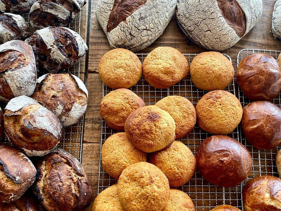 CHIPPRUSONのインスタグラム：「今週の予定  15日（土）Zero Waste Kyoto ナッツのカンパーニュ フォカッチャ チョコレートバブカ 自家製ドライりんごと自家製レーズンのパン  16日（日）実店舗　12時-17時open予定（仮） メロンパン new カンパーニュ その他  すごく久しぶりの連日焼成、こなせるのか、とも思います😅無理はしないので品数は少なめです。あまりに体調が整わなければ月曜日に振り替えることがあるかもしれません。その際は、ストーリーズにてお知らせいたします。  今週は、新しいタイプのメロンパンを考えました。この土地に合わせて、いろんな生地を作り直しています。赤毛のアンシリーズは準備中につき、ゆっくりお待ちくださいね🍒  @zerowastekyoto」