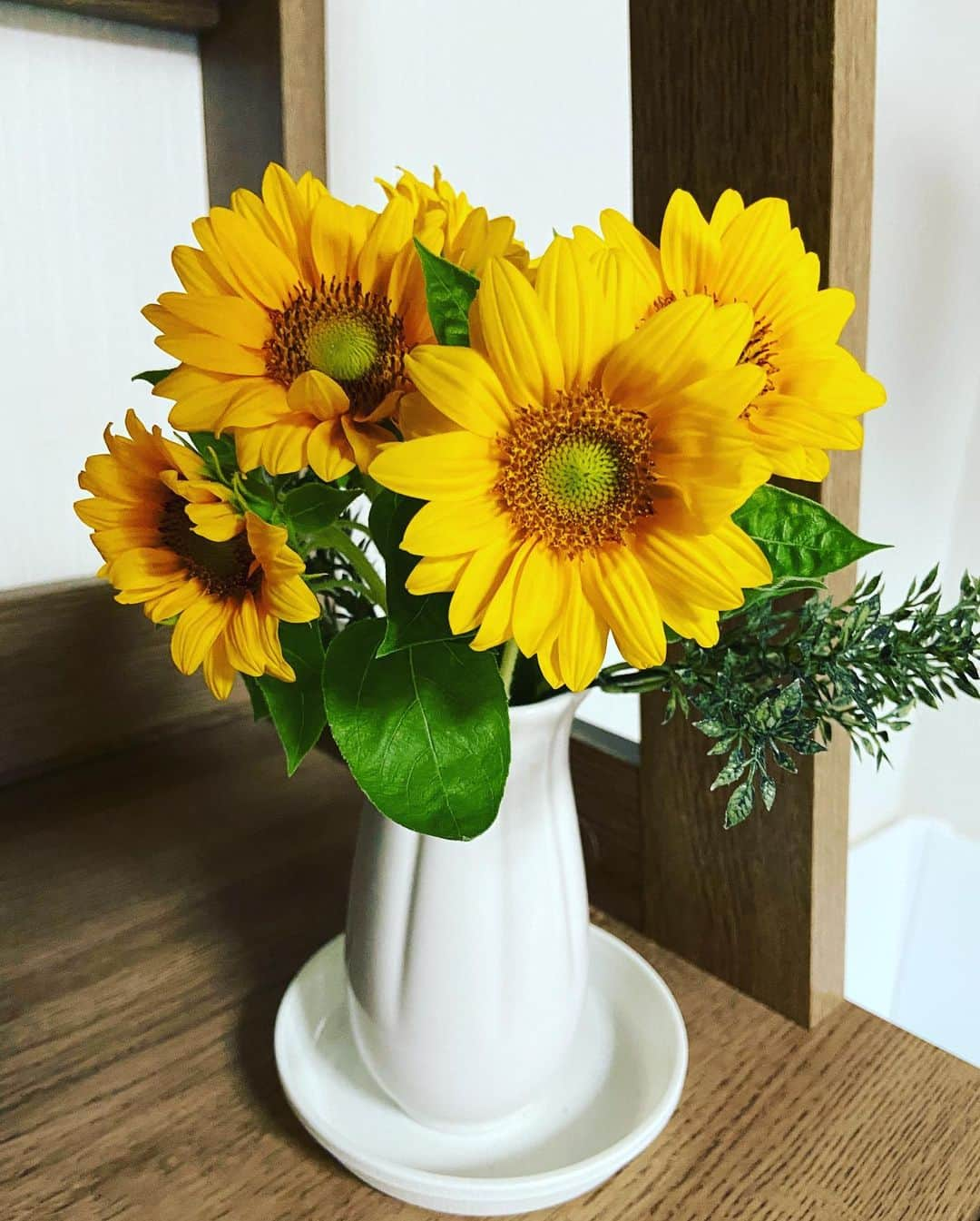 メルロコ一家の楽屋裏さんのインスタグラム写真 - (メルロコ一家の楽屋裏Instagram)「今日のロコ花。#ひめひまわり #メルロコ一家の横須賀ストーリー #花のある暮らし#ロコ」7月12日 18時33分 - merulocomocodon