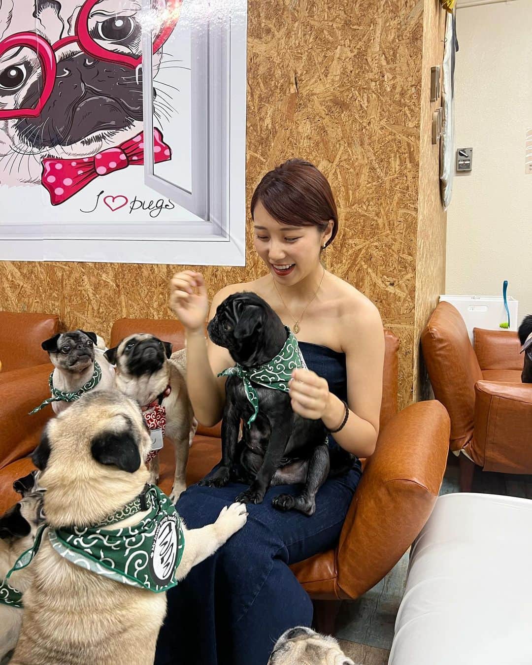 Moka さんのインスタグラム写真 - (Moka Instagram)「沖縄のパグカフェ☀️  @pugcafe_dogsalon_wan   東京で一度犬カフェ行ったらみんな猫みたいな性格で全然かまってもらえなかったんだけど、ここの子たちはすごい人懐っこくて可愛すぎた♡  保護犬など里親募集中の子たちもいて愛に溢れた素敵なお店でした！  ぜひ行ってみてください✨  #フリーモデル #フリーランスモデル #フリーモデル東京 #東京モデル #モデル東京 #広告モデル #イメージモデル #撮影 #撮影モデル #撮影依頼受付中 #撮影依頼募集中 #インフルエンサー #インスタグラマー #一人旅 #ひとり旅 #一人旅女子 #旅人 #旅行好き #旅行好き女子 #旅女 #タビジョ #旅ガール #沖縄 #沖縄観光 #パグ #パグスタグラム #パグ好き #パグカフェ #パグ犬 #犬カフェ」7月12日 18時33分 - moka_030n