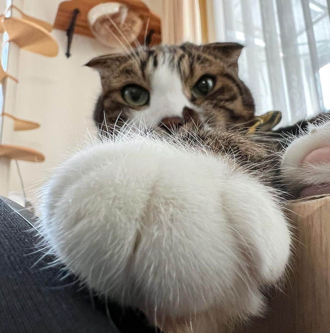 Nahoのインスタグラム