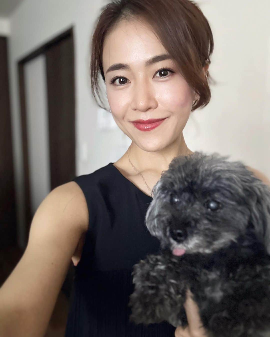 しろまっするのインスタグラム：「･ Sunny sunny days ☀️ How do you keep yourself cool during the hot days ?? 🫠🔥  毎日本当に暑いね〰️  実家帰省中にCoco🐶のてんかん発作が起こらなくて良かった✨️  Coco🐶さん、もふもふになってきた☁‪🩶 そろそろトリミング行かなくては✂️ でも、このモフモフ、これはこれで好きなんだよね🤭笑  実家大好きなCoco🐶、毎日楽しそうです🤣  #teacuppoodle #blackpoodle #poodlegram #わんこのいる暮らし #てんかん犬 #シニア犬 #しろの相棒 #しろまっする」