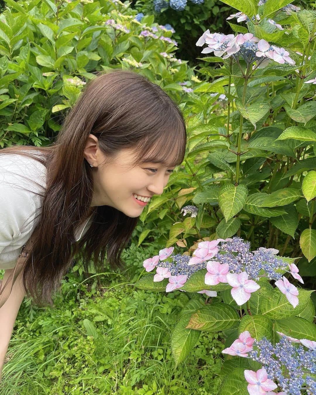 坂本 愛玲菜さんのインスタグラム写真 - (坂本 愛玲菜Instagram)「綺麗なアジサイと私服📸🩵🌿」7月12日 18時51分 - erena_hkt48