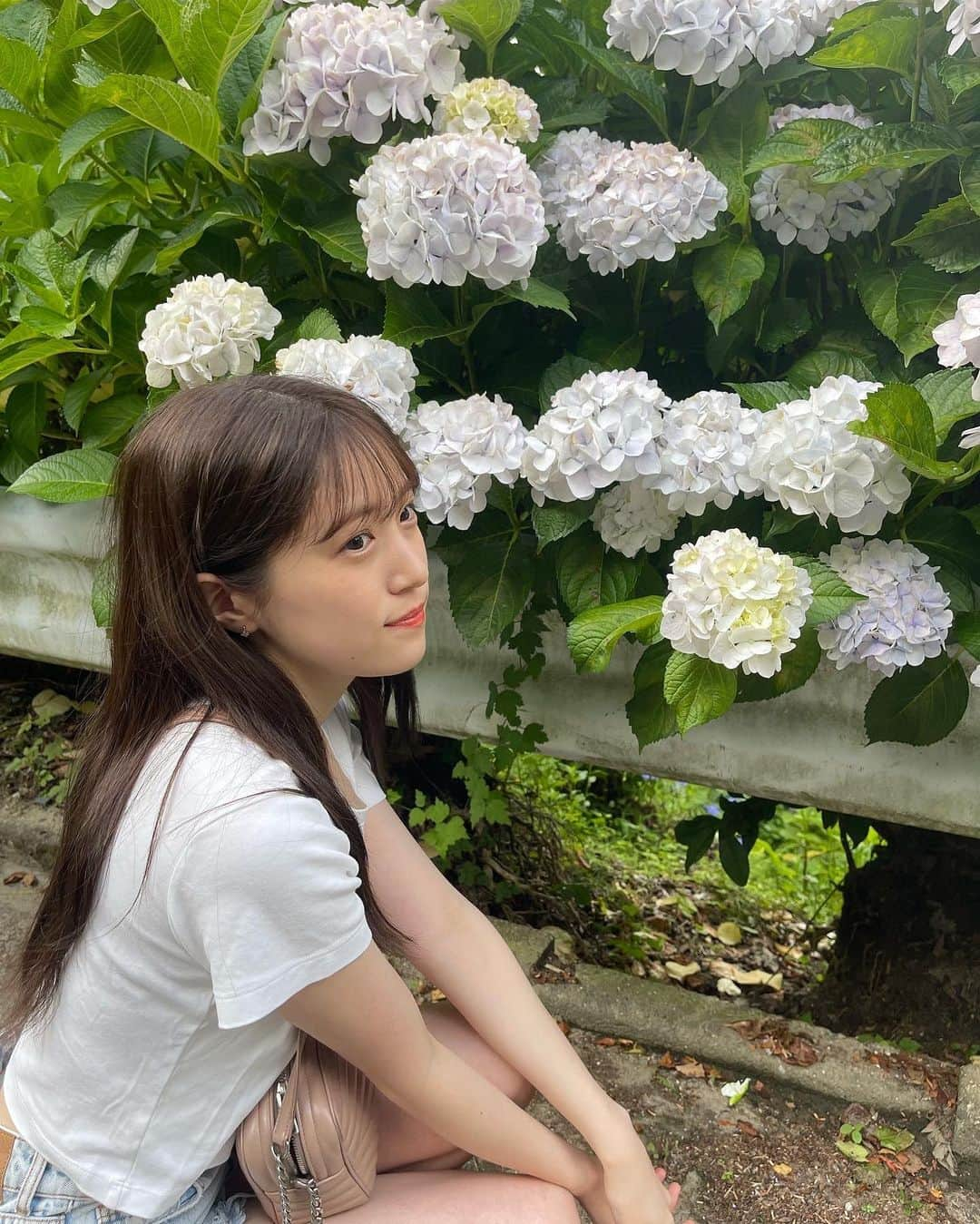 坂本 愛玲菜さんのインスタグラム写真 - (坂本 愛玲菜Instagram)「綺麗なアジサイと私服📸🩵🌿」7月12日 18時51分 - erena_hkt48