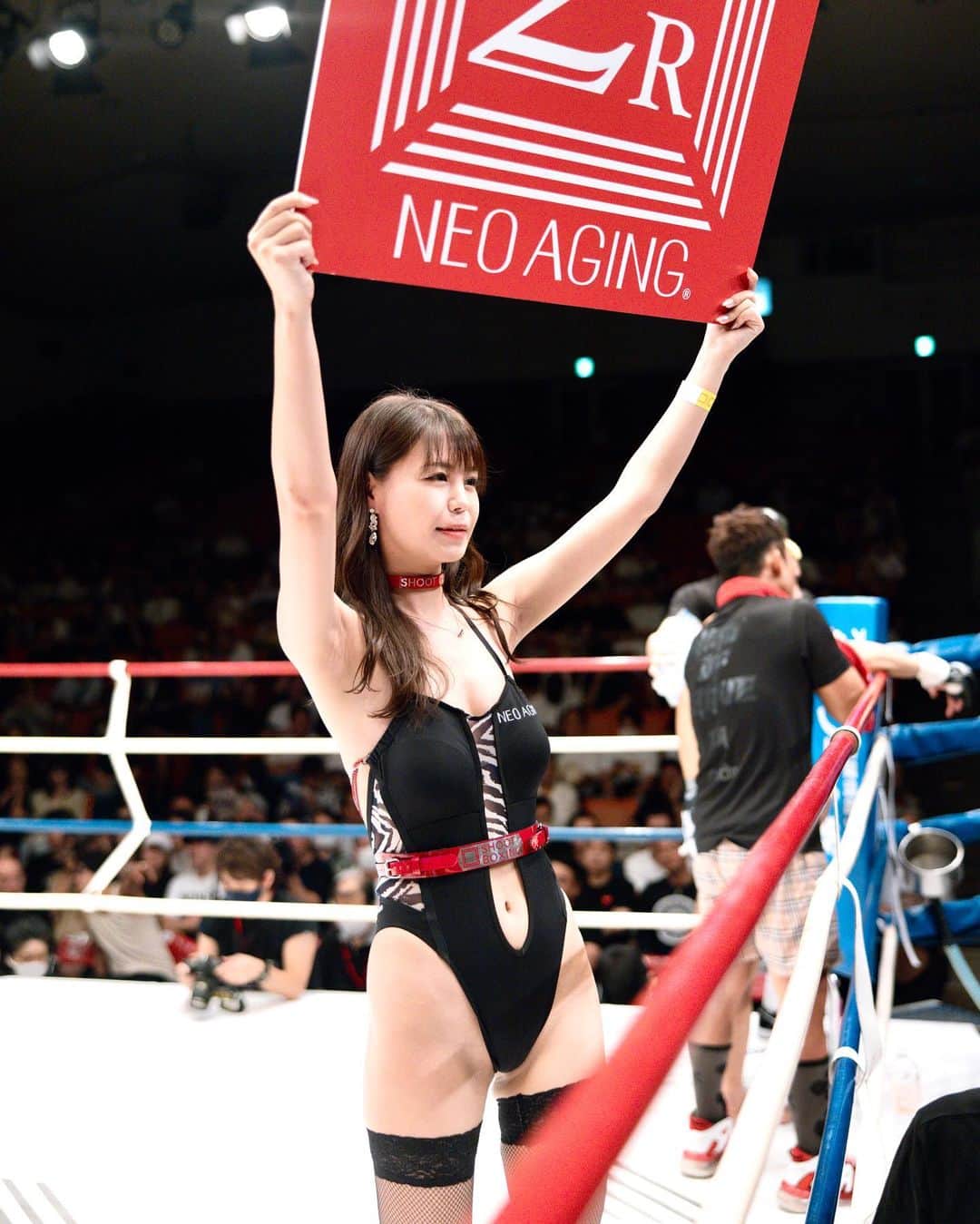 SHOOT GIRLSさんのインスタグラム写真 - (SHOOT GIRLSInstagram)「⚡️2023.06.25に行われたSHOOT BOXING 2023 act.3⚡️ . シュートガールズの当日のラウンドショット📸を 数人ずつ、数日おきに更新致します☺️💓 写真のタグから皆さんの推しガールのアカウントページを是非チェックしてくださいね😉✨ . #シュートボクシング #ラウンドガール ⁠#SHOOTBOXING #SHOOTGIRLS #ROUNDGIRL #japanesegirl #シュートボクシング #シュートガールズ #ラウンドガール #晶羅 #明璃奈 #芦沢ゆうな #藤井咲希 #蒼井じゅの」7月12日 10時27分 - shoot_girls_official