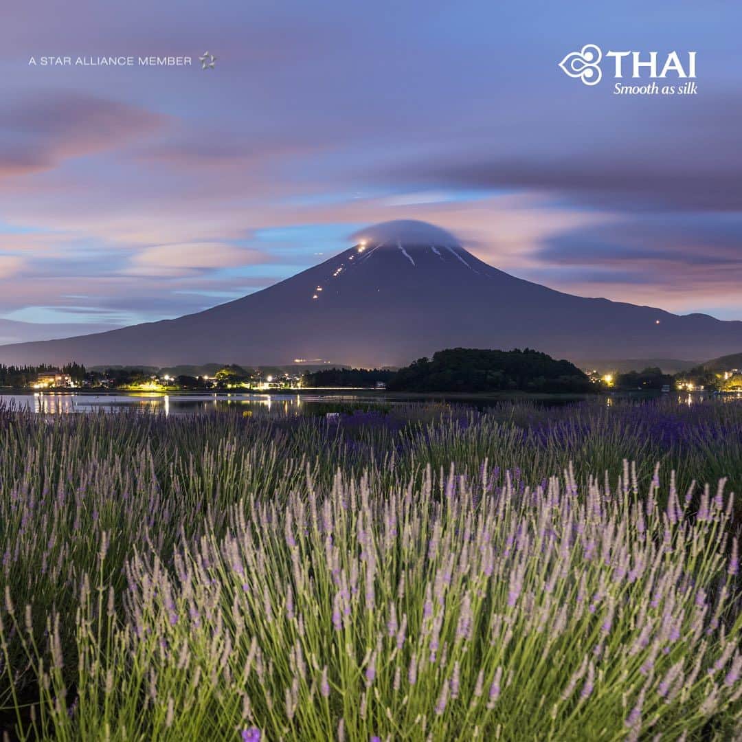 タイ航空さんのインスタグラム写真 - (タイ航空Instagram)「☀️🌞This summer, let Mt. Fuji be your guiding light, leading you on a journey of discovery and wonder. Explore the rich heritage and breathtaking landscapes of this UNESCO World Heritage Site, and let its beauty ignite your spirit. 🗻✈️  Fly with Thai Airways and embark on a journey to discover the UNESCO World Heritage Site of Mt. Fuji.  Book now 👉 thaiairways.com or click link our bio.  #thaiairways #smoothassilk #tokyo #japan #MtFuji #UnescoHeritage #magicaljourney #tg」7月12日 10時23分 - thaiairways