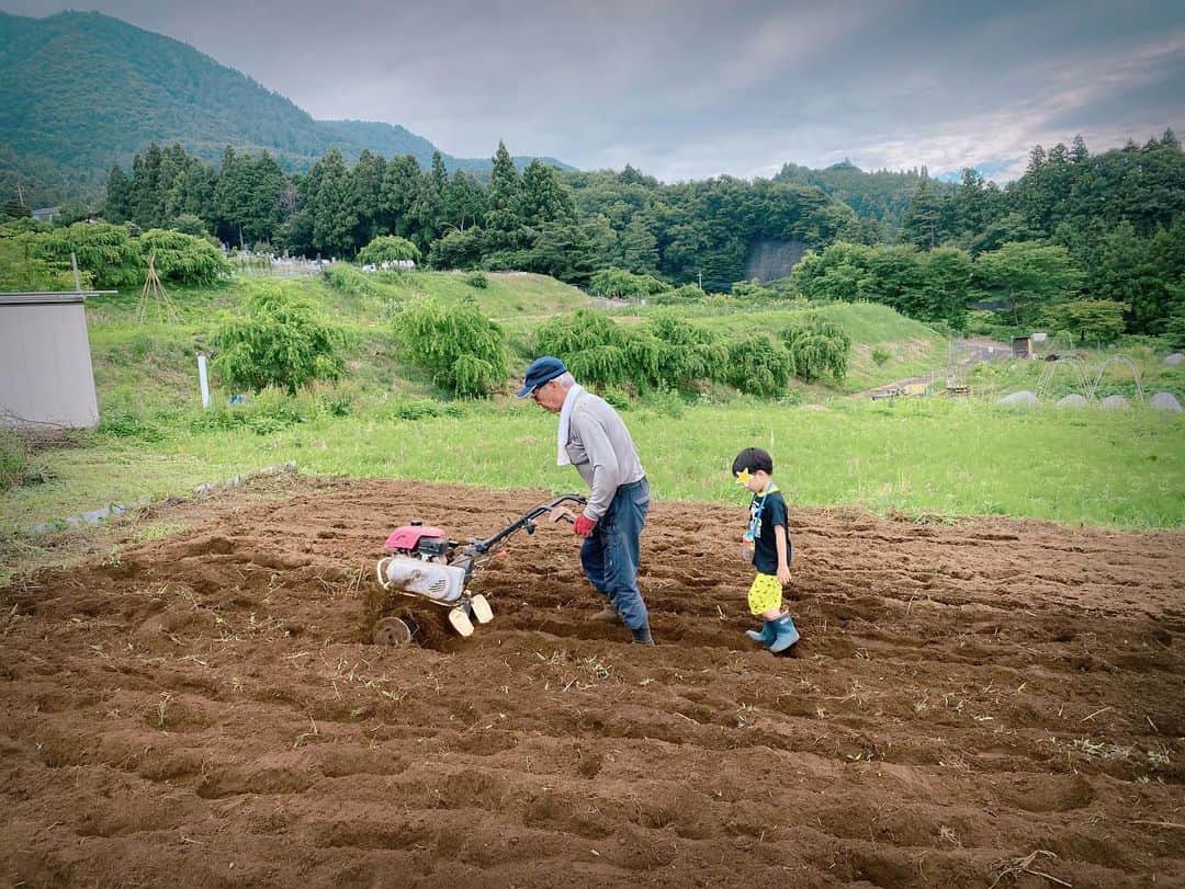 保田圭さんのインスタグラム写真 - (保田圭Instagram)「ちょっと時期が 遅くなってしまいましたが…  先日、じゃがいもの収穫に 行ってきました🎵  自分達で作付けしたじゃがいもが こんなにたくさん 育ってくれていました〜🌱  ✨✨感動だぁ✨✨  息子は 大きく育ったじゃがいもを 土の中から見つけるたび大興奮😍  宝探しのようでした👑  声をかけてくれた 友人のおかげで 貴重な体験をさせてもらって 感謝です🍀✨  息子は相変わらず 虫探しにも夢中で… 最高に楽しそうでした🌻  色々畑のことを教えてくださった ひでお先生にも感謝です🙏  今回 にんじんも植えたから また収穫が楽しみだ〜☺️」7月12日 10時38分 - keiyasuda1206