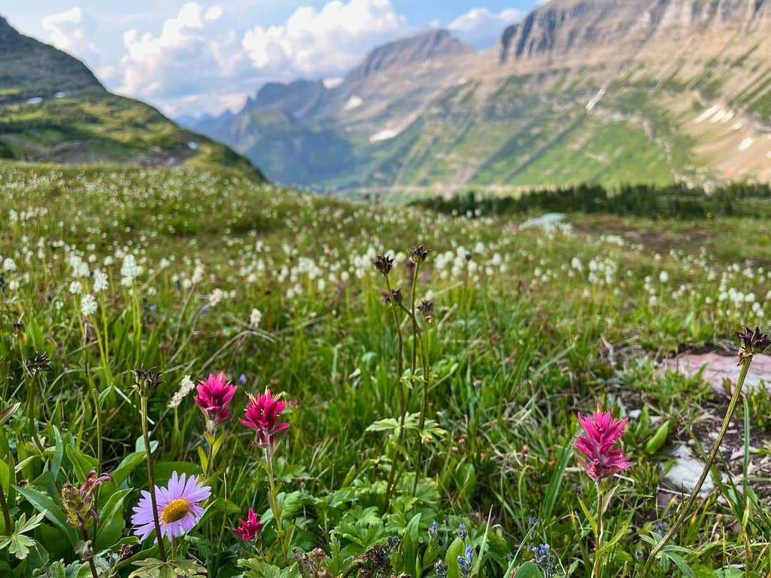 Laura Martyさんのインスタグラム写真 - (Laura MartyInstagram)「Glacier and Yellowstone! So much adventure packed into just a few short days… I’ll definitely be back for more」7月12日 11時15分 - laura_how_you_get_up_there