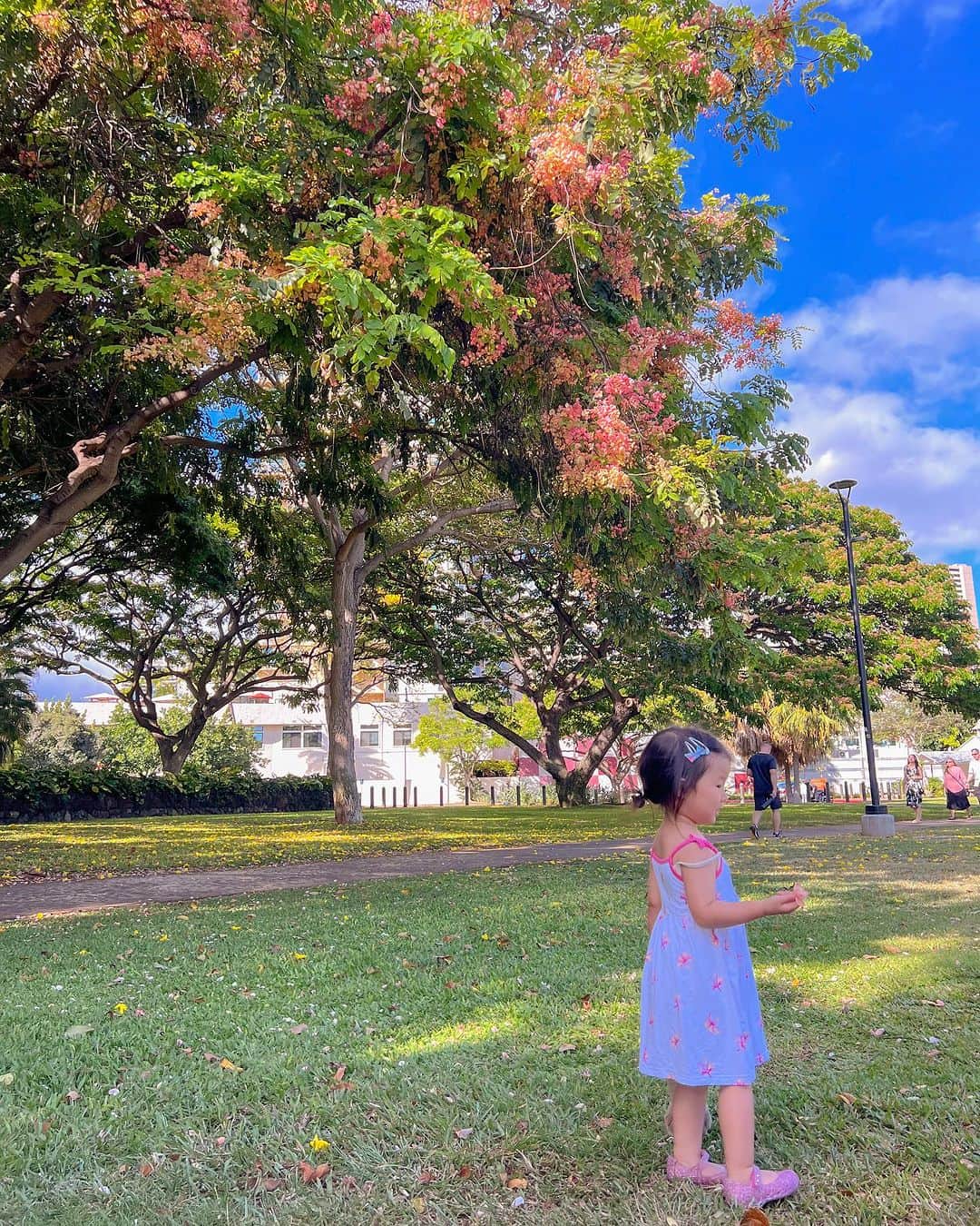 林弓束さんのインスタグラム写真 - (林弓束Instagram)「. ハワイ投稿。 太陽からエネルギーたくさん降り注いで花も草木も元気いっぱい🌺🌱🌴 . そこらかしこでプルメリアの良い香りがして本当にhappy〜❤️ . 日本が暑すぎてハワイに逃げたい😂🤣 . .  #女の子ママ  #2020年5月生まれ　#3歳女の子 #子連れハワイ #ハワイ旅行 #子連れハワイレポ #子連れハワイ旅行 #子連れ旅行 #hawaii #hawaiitrip #ママと娘 #母娘 #親子 #子供服 #こどもふく #まはりふく #ゆづしふく #東京ママ #親子コーデ #おやこーで #yzktrip」7月12日 11時22分 - hayashiyuzuka