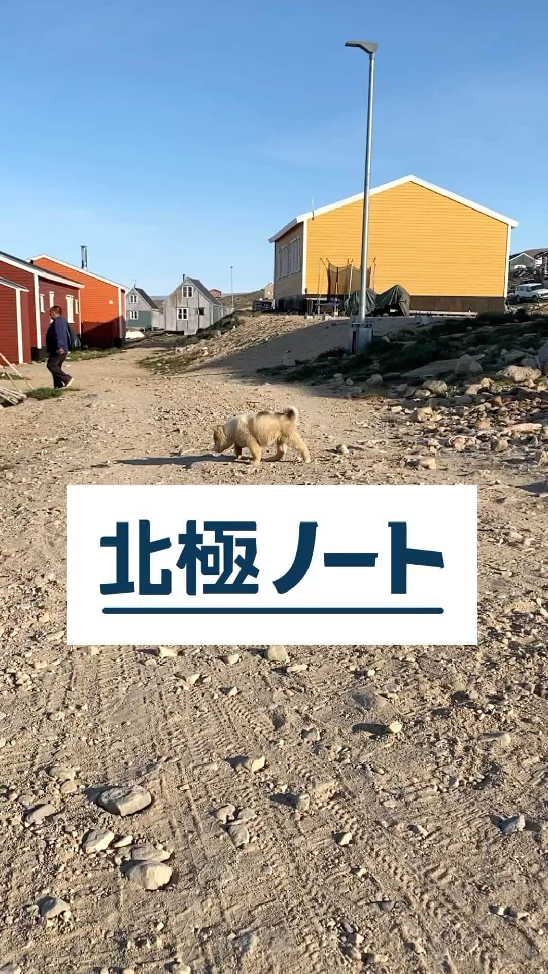 テレ朝newsのインスタグラム
