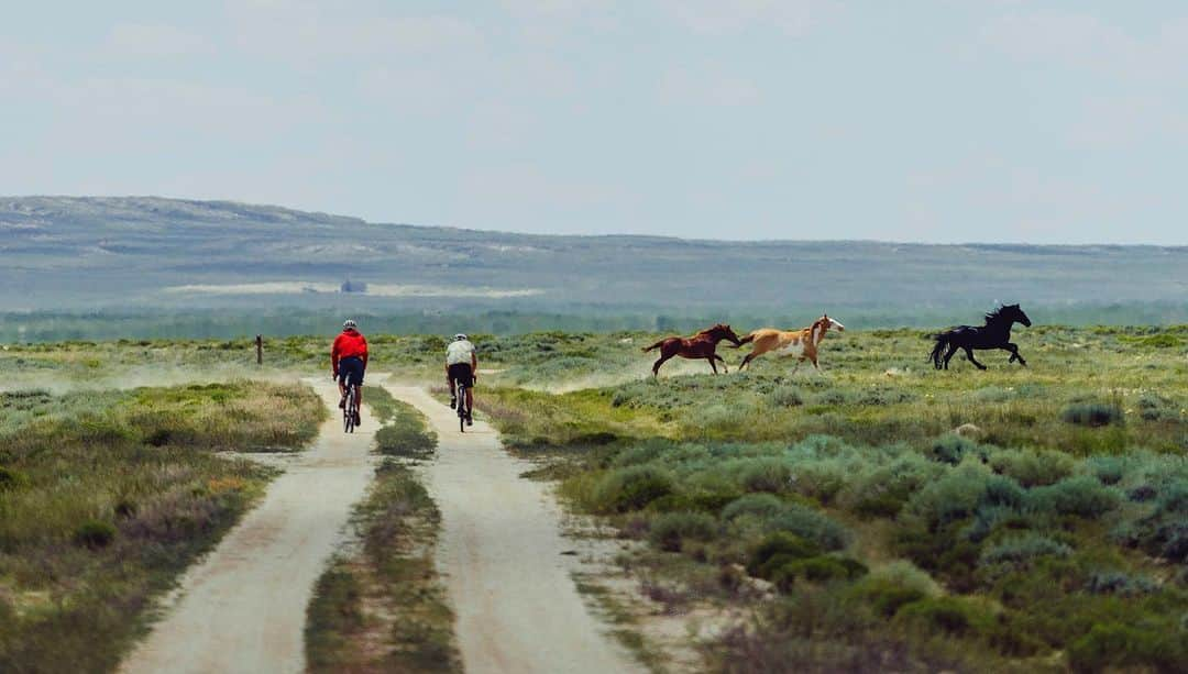 トミー・コールドウェルさんのインスタグラム写真 - (トミー・コールドウェルInstagram)「Connecting climbing objectives by bike is so different than  touring on proven routes. We decided to cross the southern Wyoming desert (red desert, link in bio to watch Patagonia’s film about protecting this place) via dirt roads that sometimes turned into nothing more than cattle tails. When you drive  I-80  you miss so much. Wild horses, countless pronghorn. Rainbows, and epic sand dunes. We felt we were about as remote as you can get in North America. The pain of 10 hours a day of bone rattling biking has a way of warping time. Only 4 days in I felt like we had been moving for weeks.  My heart already aches for my family but am grateful to be  on a grand adventure with Alex.   📸and🎥by @taylor._shaffer」7月12日 12時30分 - tommycaldwell