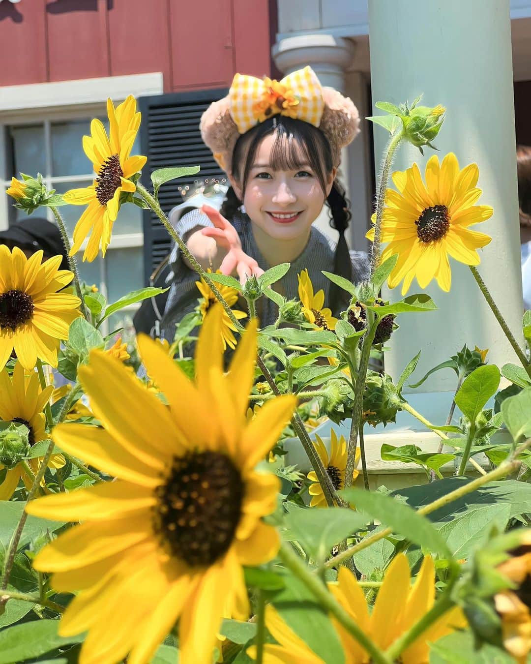 平野ほのかのインスタグラム：「~ ⁡ ⁡ ~ ⁡ 世界一のひまわり姫⸜🌻⸝ ⁡ ~ ⁡ ⁡#平野ほのか #ひまわり #ひまわり姫  #笑顔 #ディズニーシー #ディズニー #disneysea #fyp #princess #instagram」