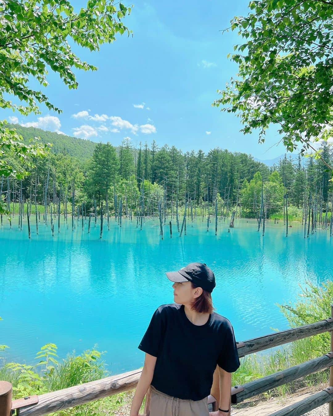 柚希礼音のインスタグラム：「. 青い池 ほんとに青かったー😁  . 夏はついつい 海に行きたがる私ですが 夏の北海道 も よかったなあ😊 . 長袖持っていったけど 思いっきり暑くて Tシャツ買った👍👍  . #北海道 #夏の北海道 #青い池 #白金青い池 #柚希礼音」