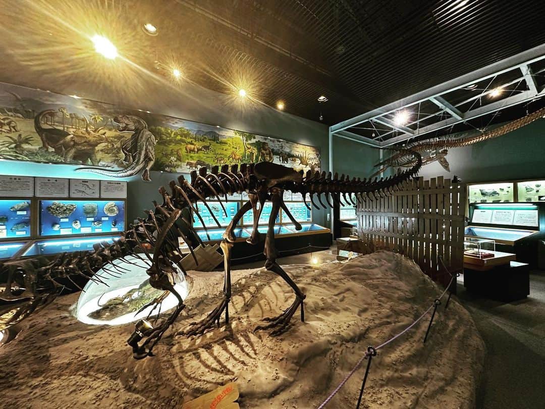 japantripのインスタグラム：「#信州新町化石博物館  #なんとかドンとか  #化石  #長野市  #化石好き  #化石好きな人と繋がりたい  #instadaily  #instagood」