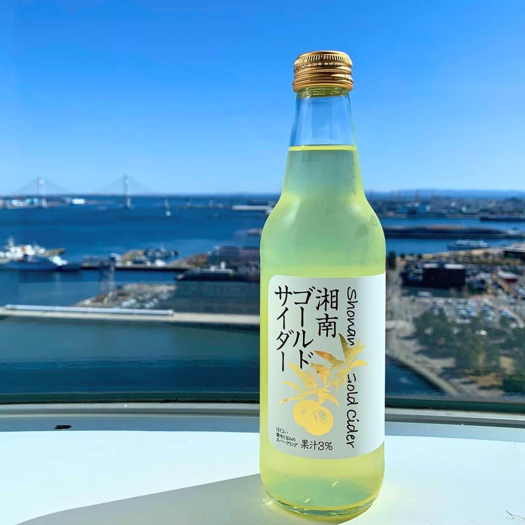 のインスタグラム：「客室ミニバーにて販売しております湘南ゴールドサイダー スッキリとしていて、これからの暑い季節にぴったりです。  #ヨコハマグランドインターコンチネンタルホテル#横浜グランドインターコンチネンタルホテル　#インルームダイニング　#ルームサービス　#インルームバー　#湘南ゴールド  #intercontinentalyokohamagrand #hotel #yokohama #inroomdining#roomservice#inroombar#shonangold」