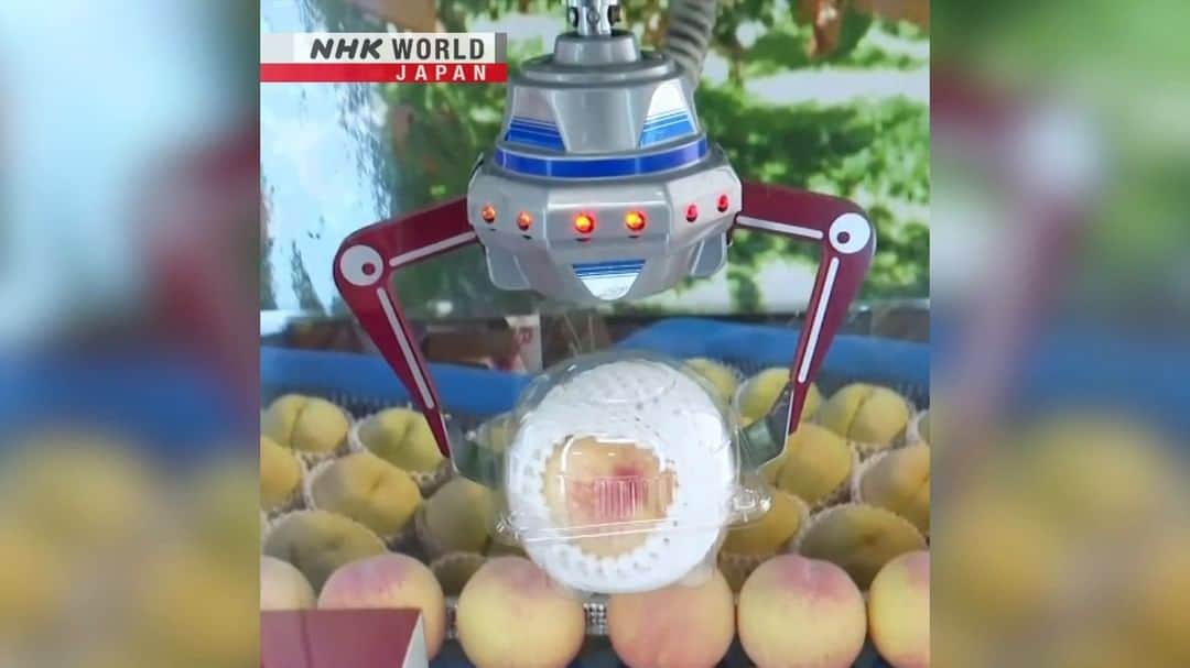 NHK「WORLD-JAPAN」のインスタグラム