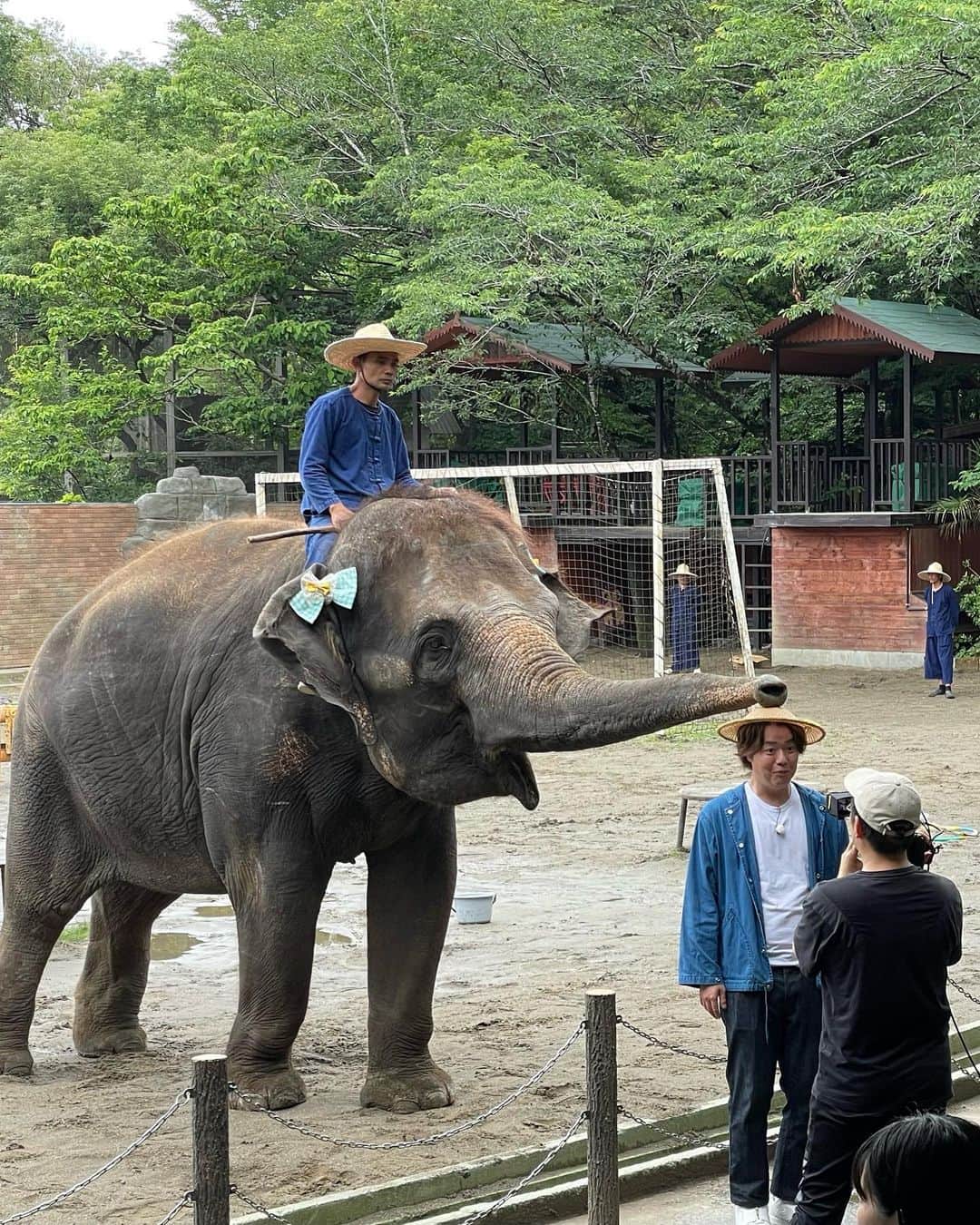 しゅうぺいさんのインスタグラム写真 - (しゅうぺいInstagram)「ゾウペイでーす🐘 俺の鼻と大違い！！！ 怖かったけどトータル嬉しかったのが上回りました🫶 ありがとうゾウさん😊  #象 #象の鼻にシュウペイ #ほぼ顔芸」7月12日 14時03分 - pekopa.shupei