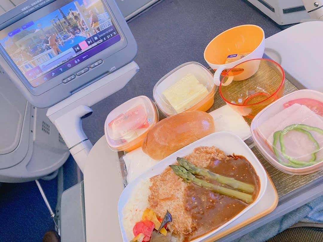 池澤春菜さんのインスタグラム写真 - (池澤春菜Instagram)「機内食でしか得られない栄養素があると思うの  ちなみに機内映画はマジックマイク3見てます ネガティブ要素0 最高」7月12日 14時30分 - haluna7