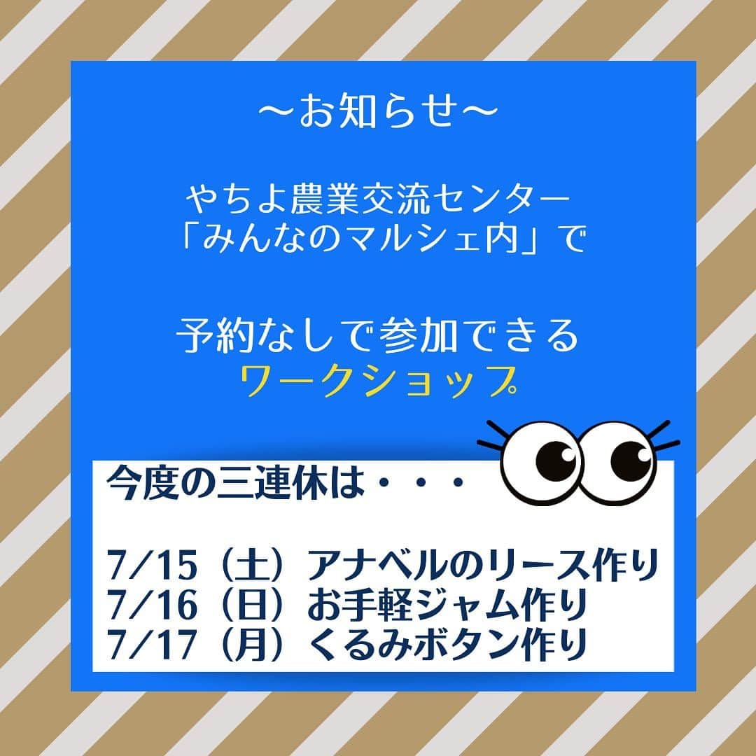 道の駅やちよのグルメインスタ