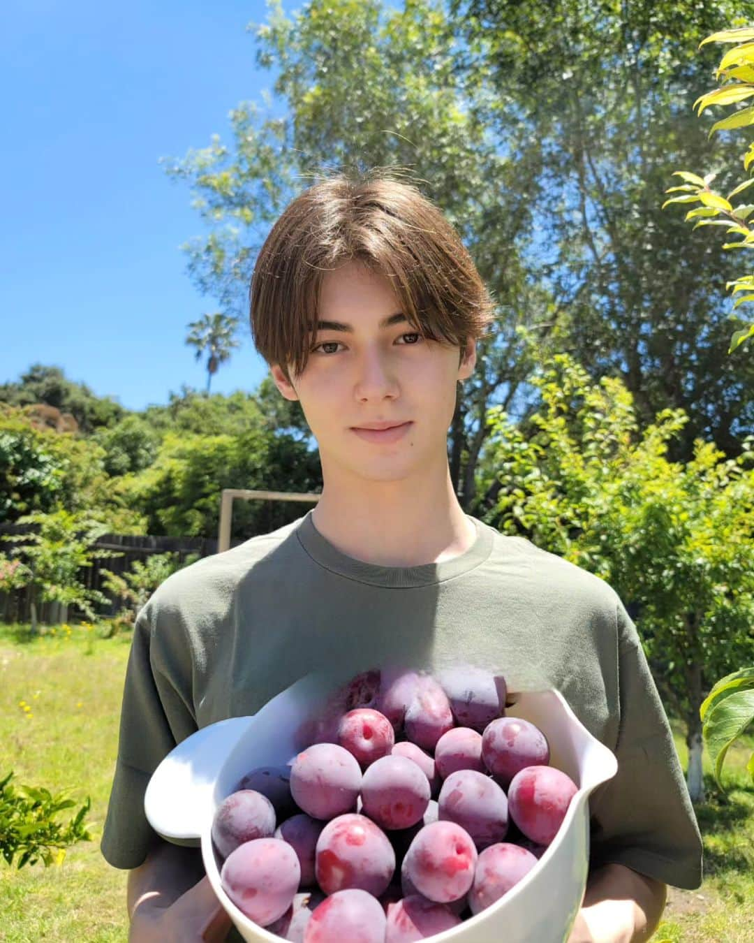 翔さんのインスタグラム写真 - (翔Instagram)「Picked some plums from my grandparent's house． みんなスモモ食べる？⁡ ⁡⁡ ⁡#海 #農業 #すもも」7月12日 14時55分 - sho0509official