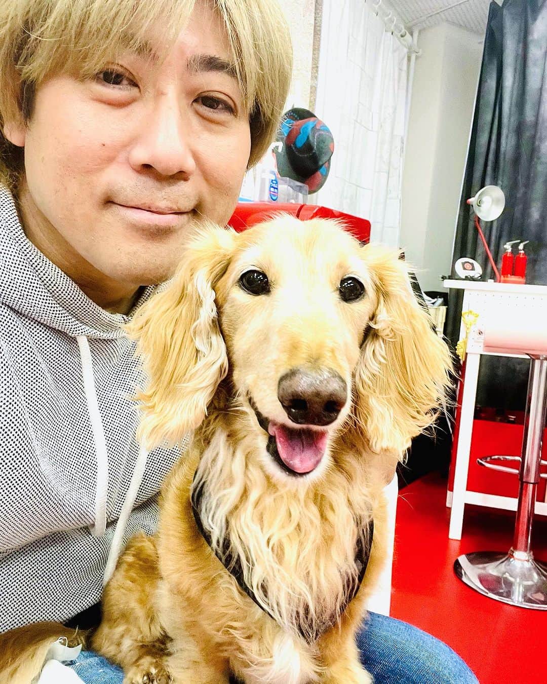 Shinnosukeのインスタグラム：「秘密のスタジオ AMP UP のイケメンマスコットボーイ、オースティン君🐶 可愛すぎた！！  #dog #studio」