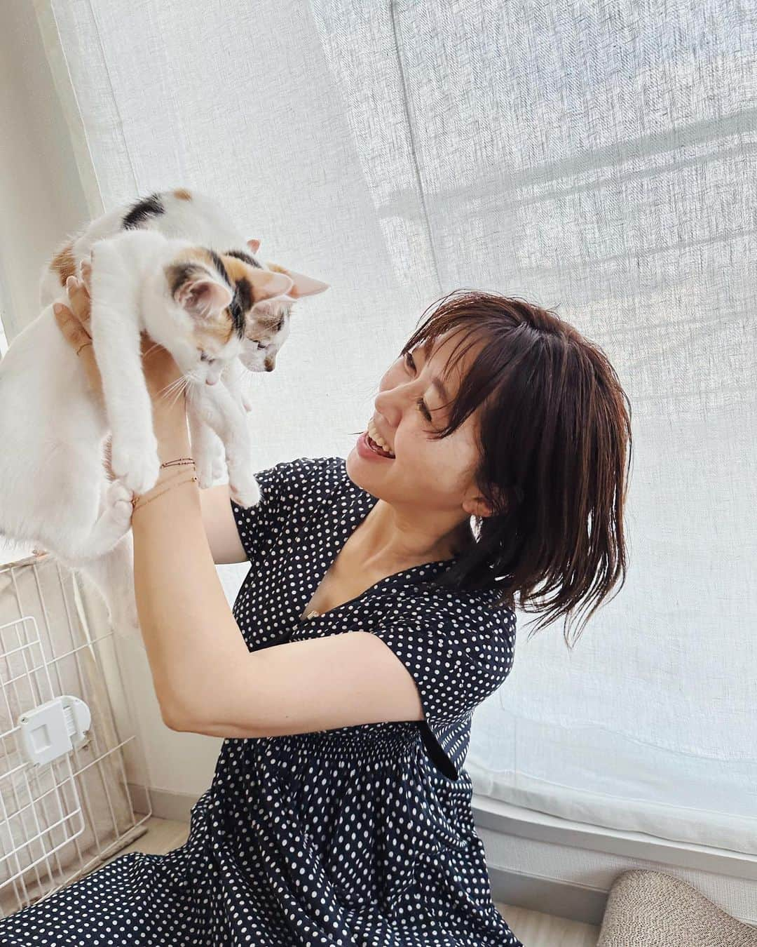 早坂香須子さんのインスタグラム写真 - (早坂香須子Instagram)「たまよ と こまの に 猫吸い界の神様が降臨✨  美雨ちゃんの猫吸いは、今や無病息災祈願のような神々しささえある。  うちに来て24日目のたま・こま、そしてダンちゃんまでが美雨ちゃんにうっとり夢中になった✨  猫好きさんは、先月NHKで放送された 「ネコメンタリー　猫も、杓子（しゃくし）も。」 を観た方も多いと思う。  サバ美との日々の暮らしと音楽と言葉、大切なひとの訃報…。生と死を真っ直ぐに澄んだ瞳でみつめた美雨ちゃんの文章に、1度目は堪えた涙が、時間をおいて視聴した時に崩壊した。  このスクショをする時にもジワッときてしまったけれど、生と死と愛に溢れた優しい世界を、また観たいと思う。  番組ネコメンタリーは、初回の「養老先生とまる」の放送からの大ファンで、全編視聴していますが、「坂本美雨とさば美」は「神回」認定させて頂きたい。  番組冒頭で、お部屋に猫の置物と共に、私の絵を飾ってくれていたのも、とっても嬉しかった✨  番組はNHKオンデマンドで観れます。 動物に興味無い方も、ぜひ見て頂きたいなぁ。  はぁ、やっとネコメンタリーについて書くことが出来た。  美雨ちゃん、たま・こま・ダンに会いに来てくれてありがとう。 なまこちゃんも、ハリネズミのハリと一緒にいっぱい遊んでくれて、ありがとう🩷（合宿がんばれ）  #ネコメンタリー猫も杓子も  #坂本美雨 #猫吸い #たまよとこまの  #dan_journal #今日のなまこちゃん」7月12日 15時48分 - kazukovalentine