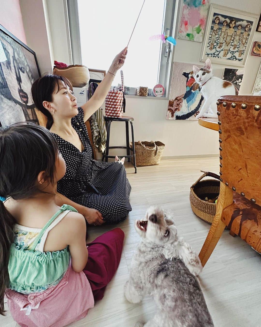 早坂香須子さんのインスタグラム写真 - (早坂香須子Instagram)「たまよ と こまの に 猫吸い界の神様が降臨✨  美雨ちゃんの猫吸いは、今や無病息災祈願のような神々しささえある。  うちに来て24日目のたま・こま、そしてダンちゃんまでが美雨ちゃんにうっとり夢中になった✨  猫好きさんは、先月NHKで放送された 「ネコメンタリー　猫も、杓子（しゃくし）も。」 を観た方も多いと思う。  サバ美との日々の暮らしと音楽と言葉、大切なひとの訃報…。生と死を真っ直ぐに澄んだ瞳でみつめた美雨ちゃんの文章に、1度目は堪えた涙が、時間をおいて視聴した時に崩壊した。  このスクショをする時にもジワッときてしまったけれど、生と死と愛に溢れた優しい世界を、また観たいと思う。  番組ネコメンタリーは、初回の「養老先生とまる」の放送からの大ファンで、全編視聴していますが、「坂本美雨とさば美」は「神回」認定させて頂きたい。  番組冒頭で、お部屋に猫の置物と共に、私の絵を飾ってくれていたのも、とっても嬉しかった✨  番組はNHKオンデマンドで観れます。 動物に興味無い方も、ぜひ見て頂きたいなぁ。  はぁ、やっとネコメンタリーについて書くことが出来た。  美雨ちゃん、たま・こま・ダンに会いに来てくれてありがとう。 なまこちゃんも、ハリネズミのハリと一緒にいっぱい遊んでくれて、ありがとう🩷（合宿がんばれ）  #ネコメンタリー猫も杓子も  #坂本美雨 #猫吸い #たまよとこまの  #dan_journal #今日のなまこちゃん」7月12日 15時48分 - kazukovalentine